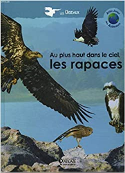 Au plus haut dans le ciel, les rapaces (Atlas junior des animaux) [Relié]